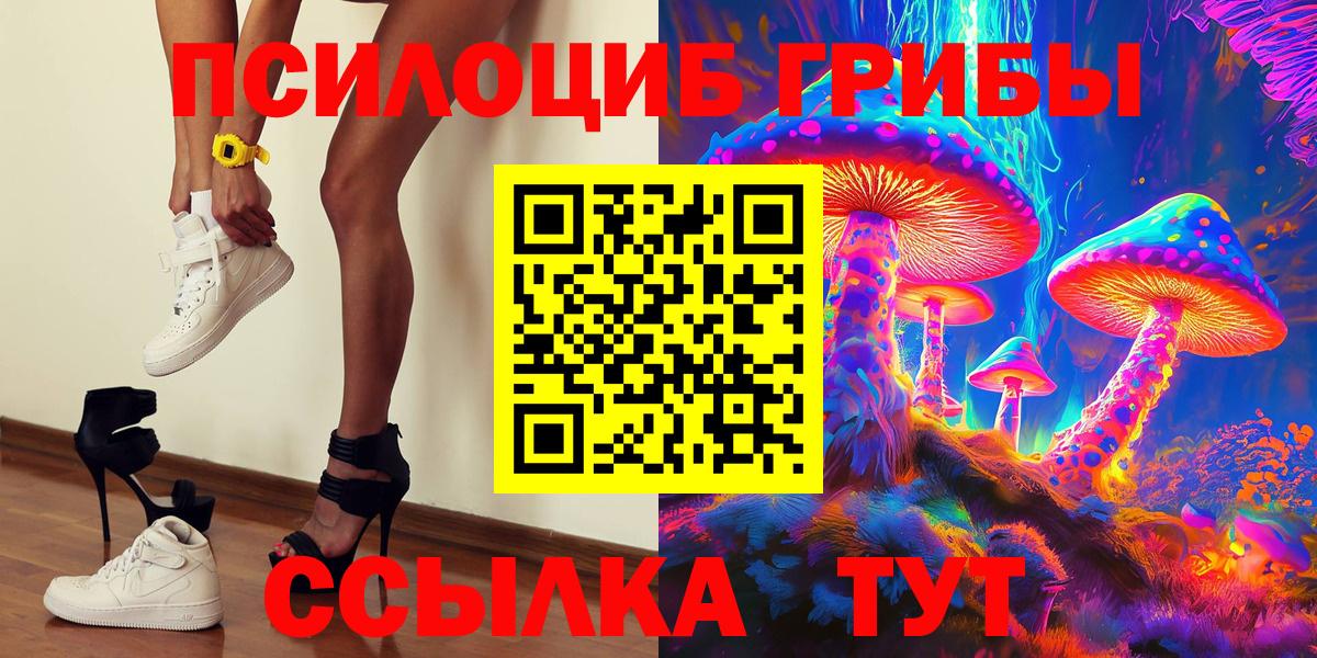 Новошахтинск  Псилоцибиновые грибы прущие грибы  Вход с VPN  Псилоцибиновые грибы мицелий 